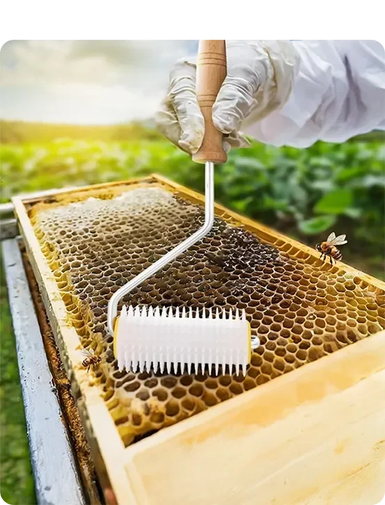 pilitsidis eksoplismos trigou